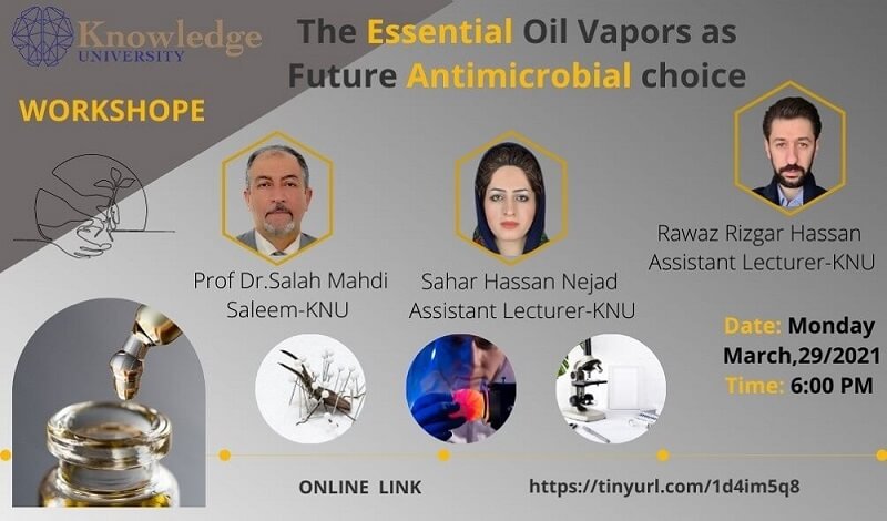 The Essential Oil Vapors as Future Antimicrobial Choice 
